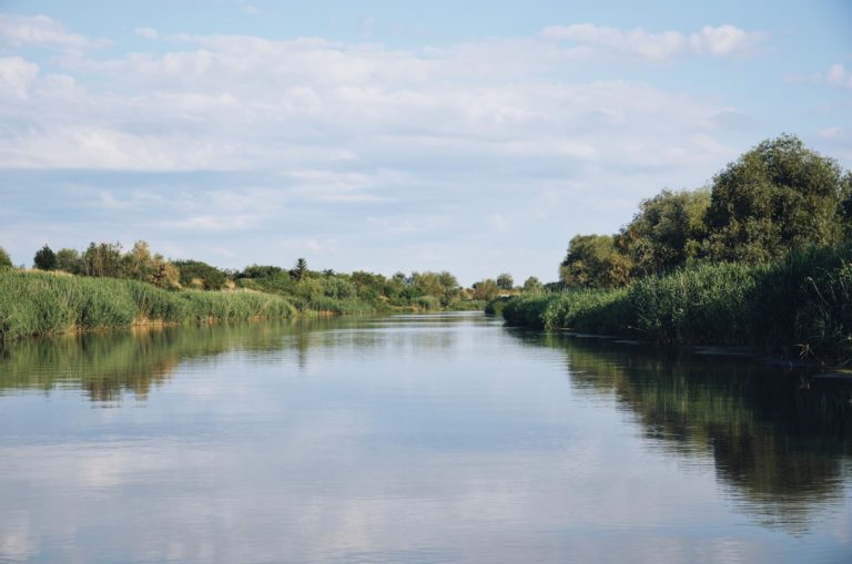 светски дан вода