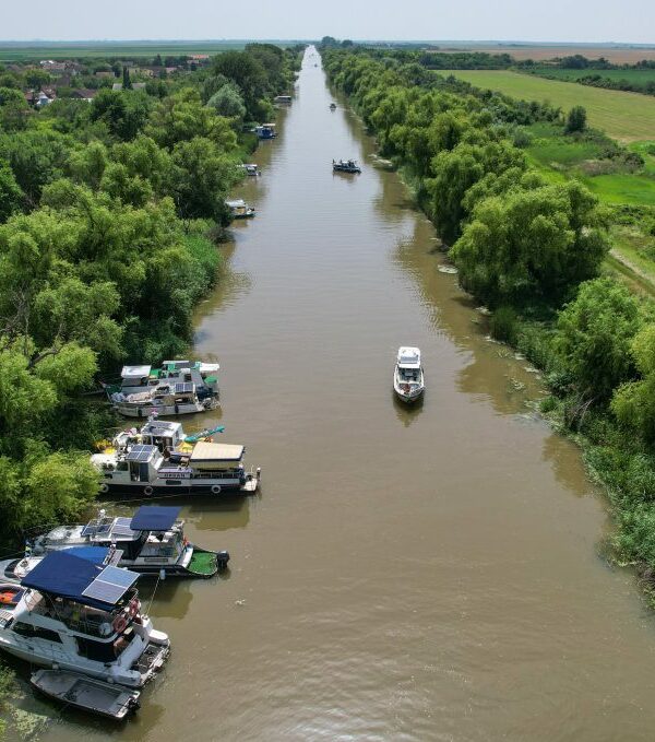 Zitiste-regata-vode-vojvodine-01-1024x679